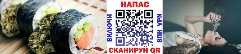 цены   Балтийск  Canna-Cookies конопля 