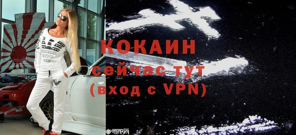 молекула духа Снежногорск