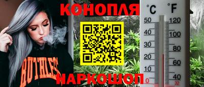 apvp Новозыбков