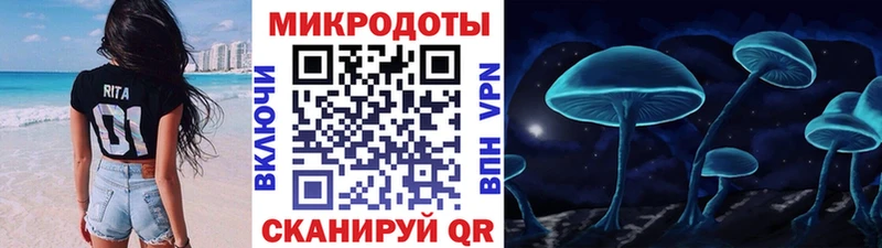 блэк спрут ссылки  наркошоп  Балтийск  Галлюциногенные грибы Magic Shrooms 