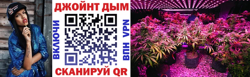 Канабис гибрид  мега ССЫЛКА  Балтийск 